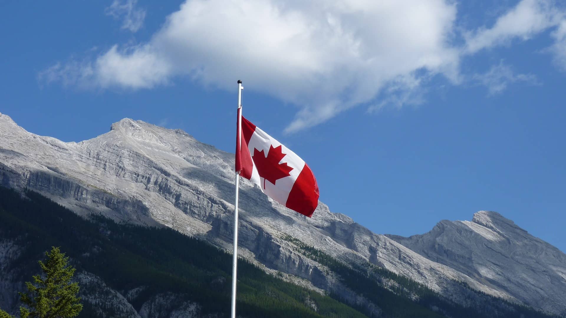 Le drapeau du Canada.